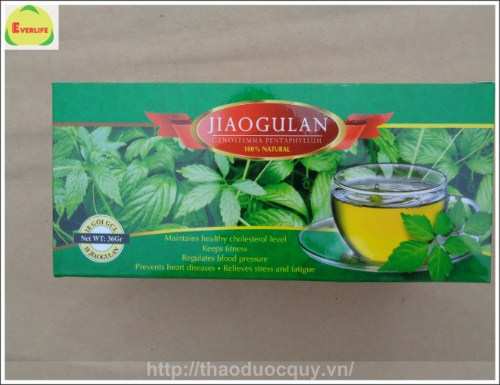 Trà Giảo Cổ Lam Túi Lọc