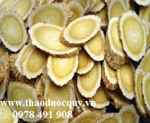 Bài thuốc dưỡng nhan giúp phụ nữ khỏe đẹp