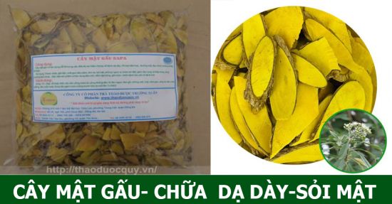 Cây Mật Gấu khô