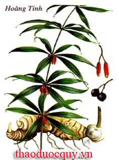 Thái Nại