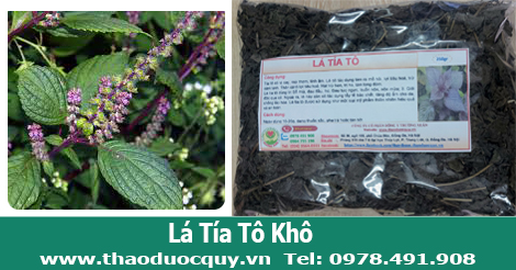 Lá tía tô khô/ Tía tô