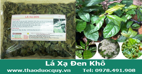 Lá Xạ Đen Khô