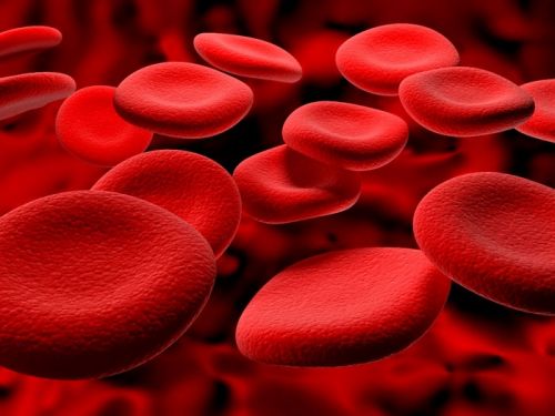 TOP 5 THẢO DƯỢC TRỊ MÁU XẤU