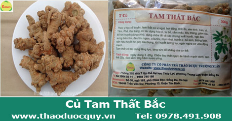 củ tam thất
